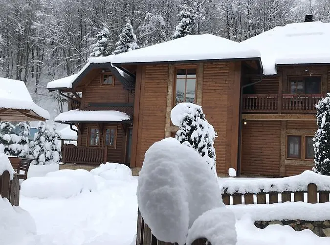 & * Златибор